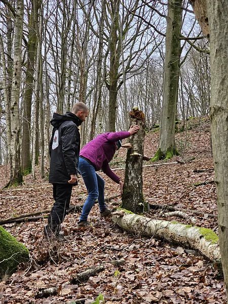 Découverte des arbres par mes sens Sémisto 2024